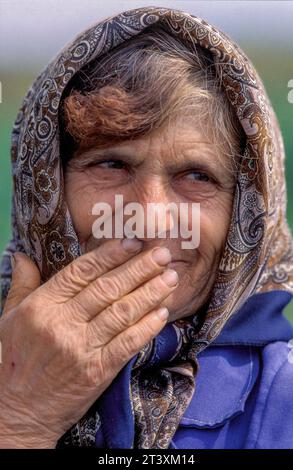 Bulgaria, regione di Dobrich, donne al lavoro nel campo della paprika. Foto Stock