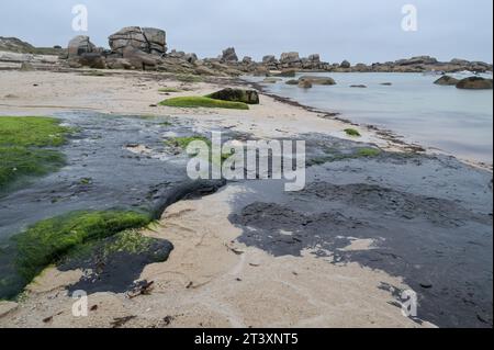 FRANCIA, Bretagna, Plage de Menehem, effetti della petroliera Amoco Cadiz Disaster, 1978 greggio in spiaggia / FRANKREICH, Bretagne, Strand von Menehem, Ölreste der Tankerkatastrophe der Amoco Cadiz, Aufnahmedatum 10.8.2023 Foto Stock