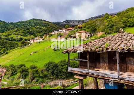 Horreo e uno dei quartieri di Bandujo sulla collina. Bandujo - Banduxu è una delle otto parrocchie di Proaza, un comune della provincia A. Foto Stock