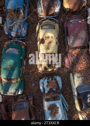 Auto d'epoca PENNSLYVANIA QUESTO MISTERIOSO cimitero è pieno di oltre DUECENTO auto Volkswagen risalenti a oltre mezzo secolo, tra cui l'iconica barbabietola Foto Stock