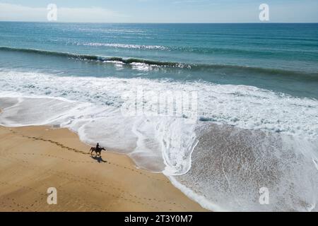 Equitazione per un cavaliere solitario su una spiaggia delle Landes (Sea, Tarnos (40220), Landes (40), Nouvelle-Aquitaine, Francia). Foto Stock