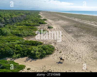 Equitazione per un cavaliere solitario su una spiaggia delle Landes (Sea, Tarnos (40220), Landes (40), Nouvelle-Aquitaine, Francia). Foto Stock