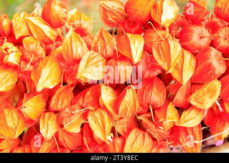 Polpa acida in un mercato, primo piano della foto Foto Stock