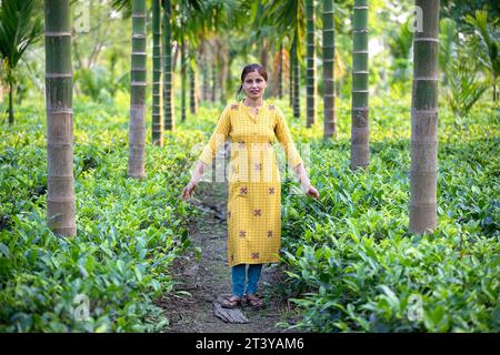 Donna in abito indiano giallo che posa sul sentiero della piantagione di tè, circondata da palme Assam nel nord-est dell'India Foto Stock