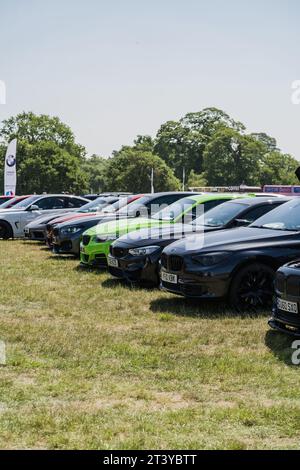 Tarporley, Cheshire, Inghilterra, 3 giugno 2023. Oulton Park BMW Sommerfest, cultura automobilistica, stile di vita e trasporto illustrazione editoriale. Foto Stock