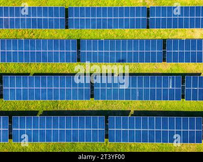 Vista aerea dall'alto delle file di pannelli a energia solare nel campo verde. Azienda agricola che produce energia elettrica pulita da risorse rinnovabili. Foto Stock