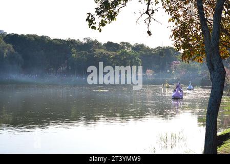 Pagaia o canottaggio sul lago in Lago con ruota panoramica sullo sfondo con bandiere brasiliane, panoramica, fuoco selettivo Foto Stock