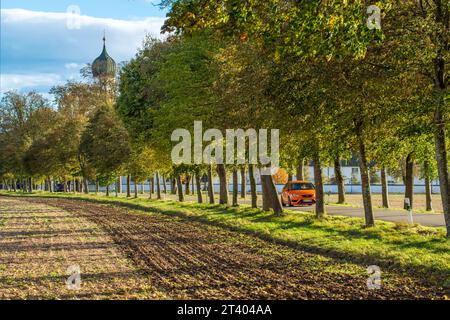 Herbstliche Allee bei Grasbrunn, typisch bayerischer Kirchturm, sonniges Herbstwetter, Nähe München, Oktober 2023 Deutschland, Grasbrunn bei München, Oktober 2023, Herbstlich verfärbte Allee, typisch bayerischer Kirchturm, Straße beidseitig mit alten Bäumen bestanden, schmale Landstraße, sonniges Herbstwetter, Autofahrer, Verkehr, Straßenverkehr, Landschaft, Bayern *** avenida Autumnal vicino a Grasbrunn, tipica torre della chiesa bavarese, clima autunnale soleggiato, vicino a Monaco, ottobre 2023 Germania, Grasbrunn vicino a Monaco, 2023 ottobre, viale dai colori autunnali, tipica torre della chiesa bavarese, strada su entrambi i lati Foto Stock