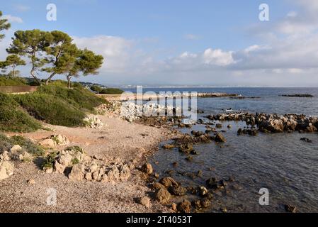 Francia, costa azzurra, Cap d'Antibes, la punta della Garoupe delimitata da un sentiero costiero con magnifiche insenature e pini marittimi. Foto Stock