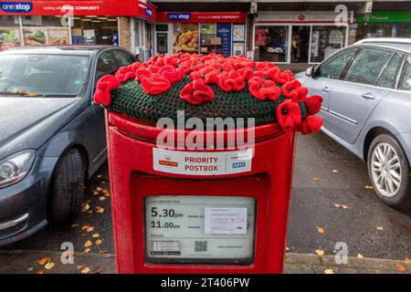 Decorazioni commemorative, per il giorno del papavero, autunno 2023, Hook Village in Hampshire, Inghilterra, Regno Unito. Bombardamento di filati con papaveri sulla cassetta postale Foto Stock