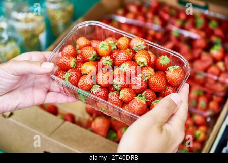 Fragole nelle mani di un acquirente in un negozio Foto Stock