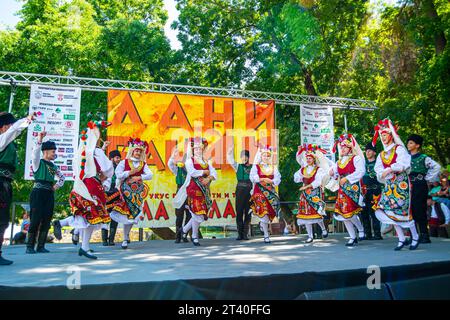 12 08 2023 Bela Palanka, Serbia, "Days of Banice" è un evento gastro-turistico di carattere competitivo e nutre i costumi, la cultura e le tradizioni Foto Stock