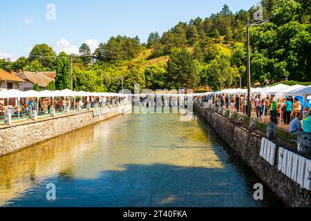 12 08 2023 Bela Palanka, Serbia, "Days of Banice" è un evento gastro-turistico di carattere competitivo e nutre i costumi, la cultura e le tradizioni Foto Stock