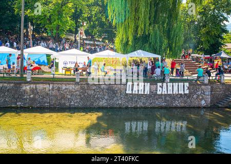 12 08 2023 Bela Palanka, Serbia, "Days of Banice" è un evento gastro-turistico di carattere competitivo e nutre i costumi, la cultura e le tradizioni Foto Stock