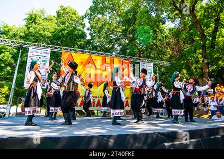 12 08 2023 Bela Palanka, Serbia, "Days of Banice" è un evento gastro-turistico di carattere competitivo e nutre i costumi, la cultura e le tradizioni Foto Stock