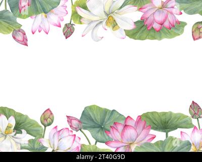 Cornice orizzontale di gigli d'acqua e foglie verdi in fiore. Fiori di loto, loto indiano, foglia, gemma. Spazio per il testo. Illustrazione acquerello Foto Stock