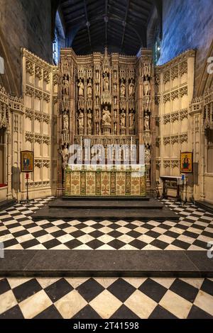 Quire della Cattedrale Chiesa di San Nicola, Newcastle Foto Stock