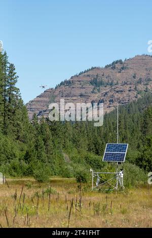 Un piccolo aereo si avvicina alla pista di atterraggio al Minam River Lodge, Oregon. Foto Stock