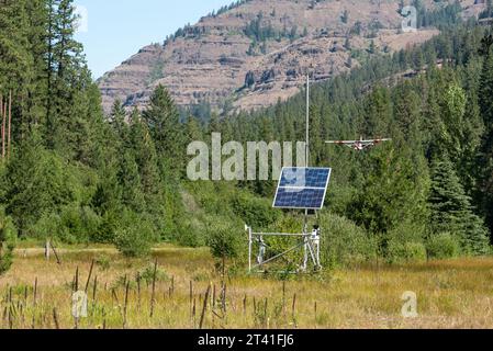 Un piccolo aereo si avvicina alla pista di atterraggio al Minam River Lodge, Oregon. Foto Stock