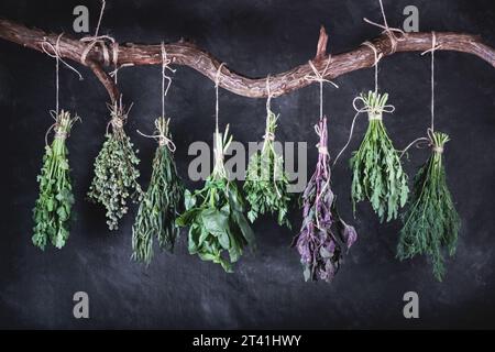 Appesi mazzi di varietà di erbe fresche commestibili su una traversa di legno curva, primo piano su sfondo nero Foto Stock