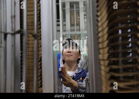 MEISHAN, CINA - 27 OTTOBRE 2023 - Un operaio utilizza un braccio robotico intelligente per lavorare sulla linea di produzione di Mengniu Dairy a Meishan, provincia del Sichuan, Chin Foto Stock