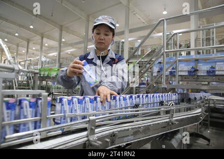 MEISHAN, CINA - 27 OTTOBRE 2023 - Un operaio utilizza un braccio robotico intelligente per lavorare sulla linea di produzione di Mengniu Dairy a Meishan, provincia del Sichuan, Chin Foto Stock