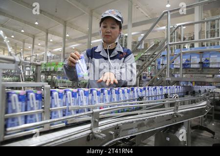 MEISHAN, CINA - 27 OTTOBRE 2023 - Un operaio utilizza un braccio robotico intelligente per lavorare sulla linea di produzione di Mengniu Dairy a Meishan, provincia del Sichuan, Chin Foto Stock