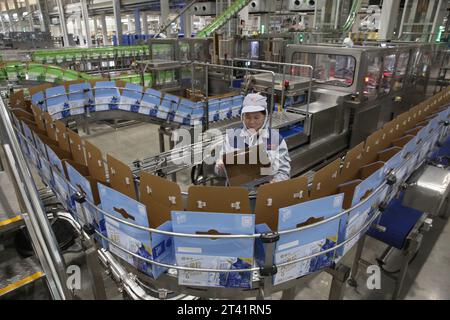 MEISHAN, CINA - 27 OTTOBRE 2023 - Un operaio utilizza un braccio robotico intelligente per lavorare sulla linea di produzione di Mengniu Dairy a Meishan, provincia del Sichuan, Chin Foto Stock