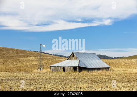 Un vecchio fienile con accanto un mulino a vento si trova in un campo nel nord dell'Idaho. Foto Stock