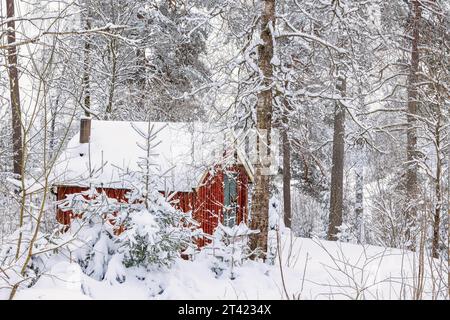 Cabina rossa in una foresta innevata in inverno, Svezia Foto Stock