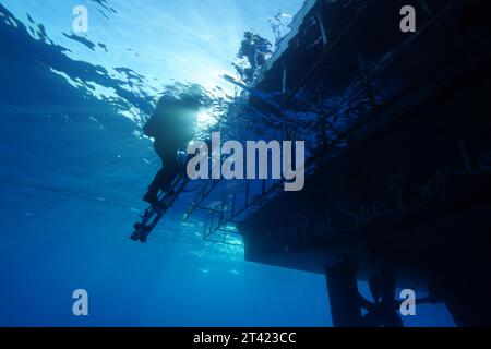 Safari in barca, immersione in barca, crociera a bordo del Mar Rosso dal basso, scaletta, uscita. Diver esce dall'acqua. Sito di immersione Small Abu Reef, Fury Shoals, Red Foto Stock