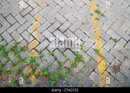 Una disposizione di blocchi di mattoni grigi sul fondo del cortile con erba selvatica che cresce tra i mattoni, molto adatta come sfondo Foto Stock