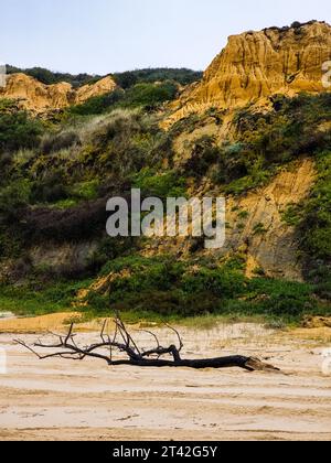 Una vista mozzafiato della bellezza naturale della costa atlantica del Portogallo vicino a Lisbona Foto Stock