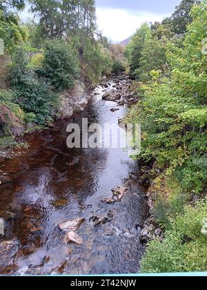 Una scena tranquilla di un piccolo fiume che scorre attraverso una zona boscosa, fiancheggiata da alberi e cespugli, che offre un'atmosfera tranquilla Foto Stock