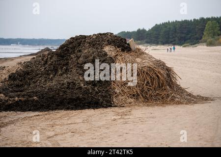 Cumulo di detriti lanciati dal mare durante la marea, le inondazioni, le tempeste raccolte da volontari ed ecologisti Foto Stock