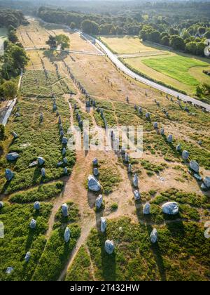 Vista aerea degli allineamenti di Carnac al mattino presto (Kermario allineamenti, Carnac, Morbihan (56), Bretagna, Francia). Alignements de Carnac. Foto Stock