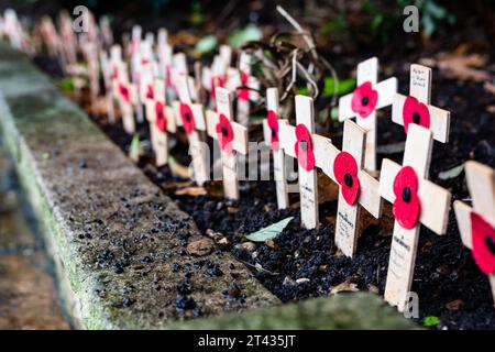 Woodbridge Suffolk Regno Unito novembre 26 2021: Papaveri rossi su piccole croci di legno per ricordare i morti della guerra nel giorno della memoria Foto Stock