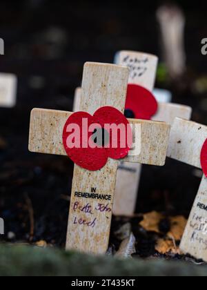 Woodbridge Suffolk Regno Unito novembre 26 2021: Papaveri rossi su piccole croci di legno per ricordare i morti della guerra nel giorno della memoria Foto Stock