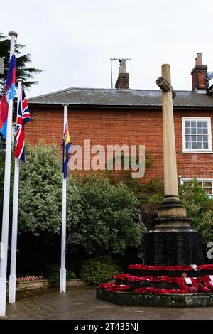 Woodbridge Suffolk UK novembre 26 2021: Corone di papavero rosse posate su un memoriale di guerra in ricordo dei morti di guerra, Suffolk UK Foto Stock