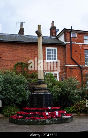 Woodbridge Suffolk UK novembre 26 2021: Corone di papavero rosse posate su un memoriale di guerra in ricordo dei morti di guerra, Suffolk UK Foto Stock