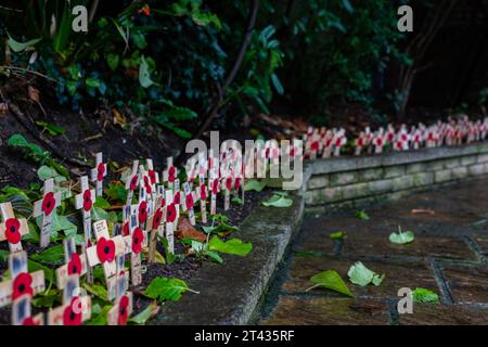 Woodbridge Suffolk Regno Unito novembre 26 2021: Papaveri rossi su piccole croci di legno per ricordare i morti della guerra nel giorno della memoria Foto Stock