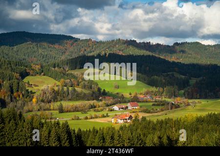 Paesaggio nel Allgäu in autunno vicino al villaggio di Wengen im Allgäu e alle montagne circostanti. Alcune fattorie. Baviera, Germania. Immagine presa da publ Foto Stock