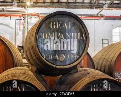 Primo piano di botti di rovere di vino porto invecchiato 10 anni nella cantina della società Real Companhia Velha, Porto, Portogallo, il 14 ottobre 2023 Foto Stock