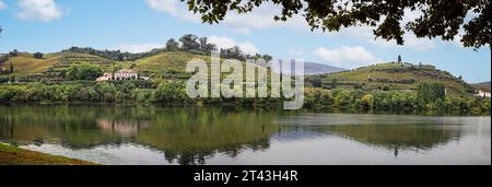 Panorama dei vigneti terrazzati sul versante del fiume Douro con la cifra Sandemans in Portogallo il 15 ottobre 2023 Foto Stock