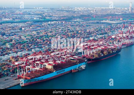 QINGDAO, CINA - 28 OTTOBRE 2023 - la foto scattata il 28 ottobre 2023 mostra la scena del terminal container presso il porto di Qianwan del porto di Qingdao a Shand Foto Stock