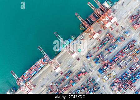 QINGDAO, CINA - 28 OTTOBRE 2023 - la foto scattata il 28 ottobre 2023 mostra la scena del terminal container presso il porto di Qianwan del porto di Qingdao a Shand Foto Stock