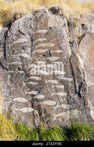 Arte tradizionale inuit della Groenlandia; Scuola di pesce; parte della galleria all'aperto "Stone and man" di sculture in pietra, Qaqortoq, Groenlandia Artico Foto Stock