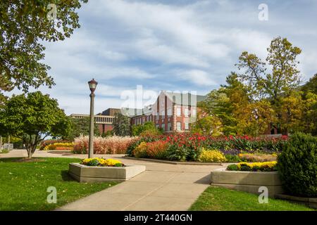 NORMAL, il, USA - 18 OTTOBRE 2023: Giardini fioriti nel campus della Illinois State University. Foto Stock