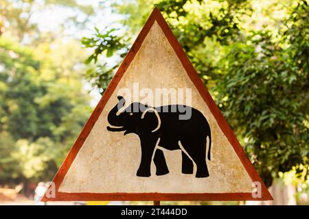 Cartello di avvertimento con elefante su una delle strade che circondano l'area di Angkor Wat in Cambogia. Foto Stock