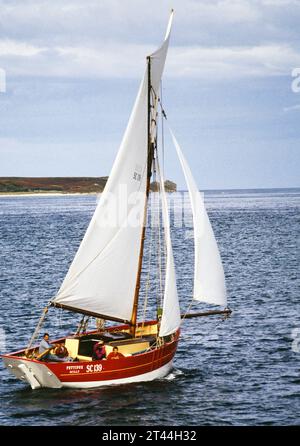 Pettifox, una replica di granchi francesi, è l'ultima barca a vela costruita sulle isole Scilly, vista qui a vela tra St Marys e St Martin's con l'equipaggio Foto Stock